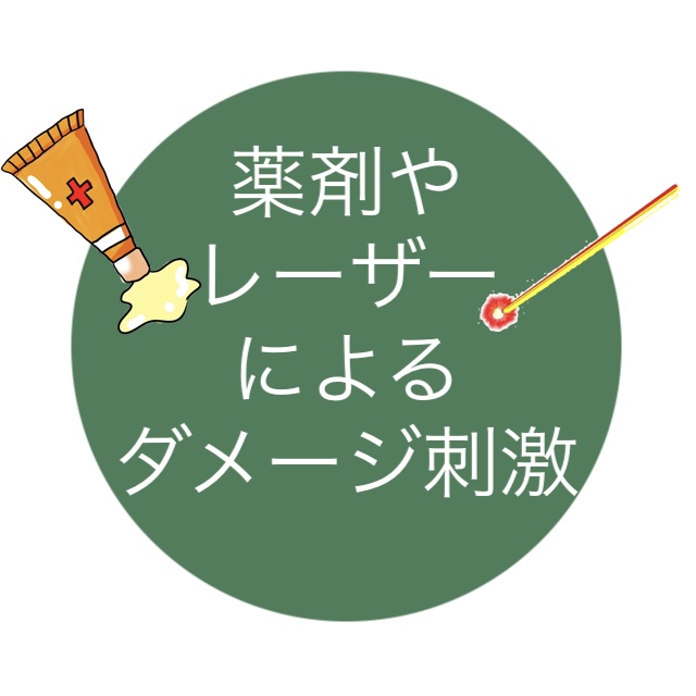 薬剤や レーザー による ダメージ刺激